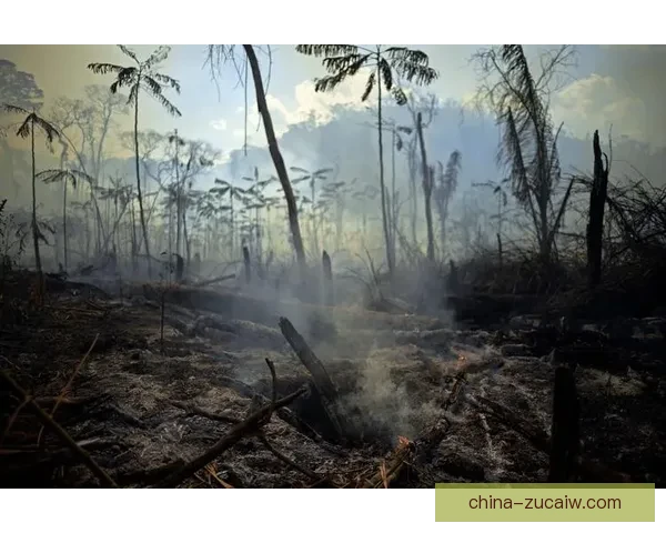 普罗格雷苏尔斯遭遇费兰斯小负赛况全面回顾与战术解析